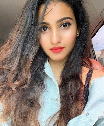 Udaipur escort Service